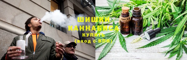 гашиш Богданович