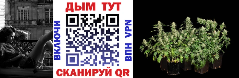где купить наркоту  Мичуринск  Бошки марихуана THC 21% 